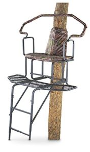 Guide Gear 2-Man 16' Wrap-a-Round Ladder Tree Stand